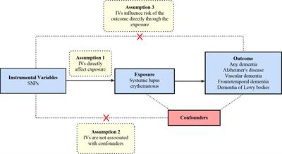 Causal association between systemic lupus erythematosus and the risk of dementia: A Mendelian randomization study